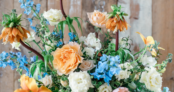 Orange white and blue bouquet of flowers