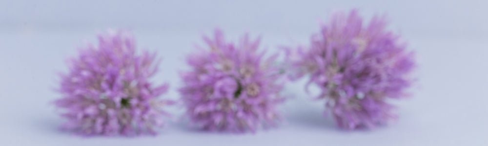 In These Unprecedented Times